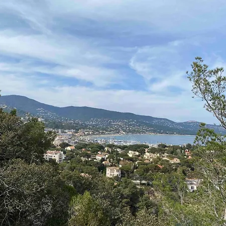 Bikini, An Near The Square