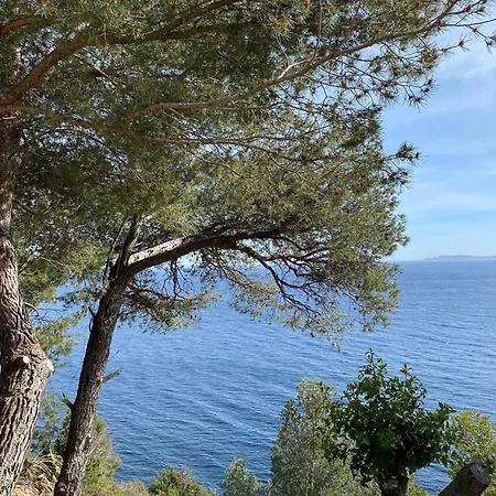 Bikini, An Near The Square Cavalaire-sur-Mer