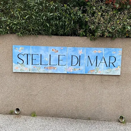 Bikini, An Near The Square *